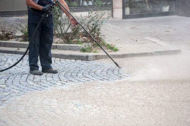 Best Roof Washing  in Calumet City, IL